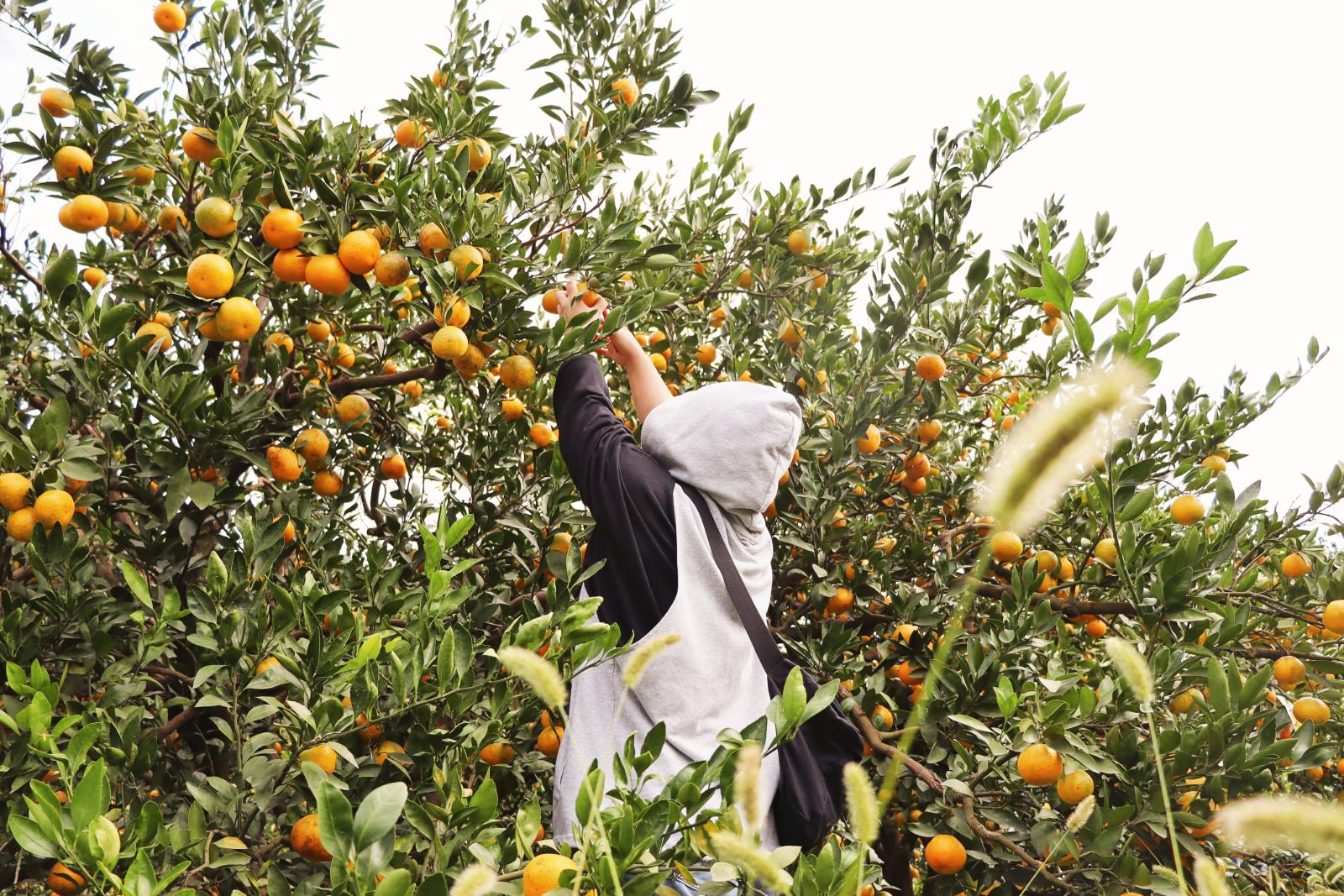 20231031e.jpg 20231031e.jpg